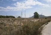 Terreny no urbanitzable en venda a la España, Salines, ref.: TR122110 foto