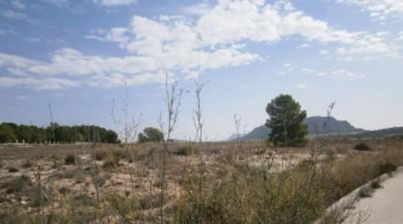 Alicante - Salinas - 14000m2