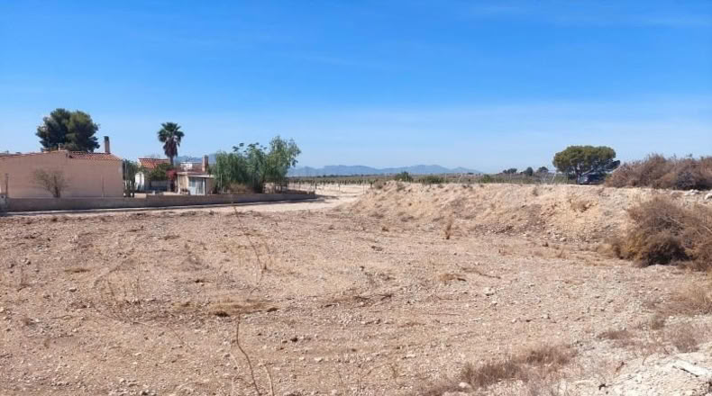 Alicante - Crevillente - 6000m2