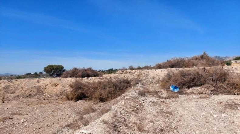 Alicante - Crevillente - 6000m2