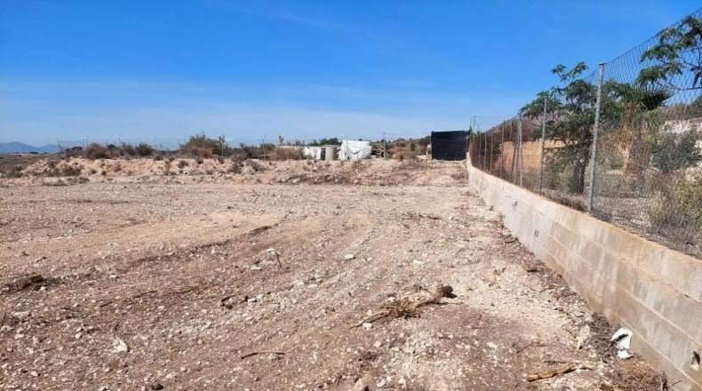 Alicante - Crevillente - 6000m2