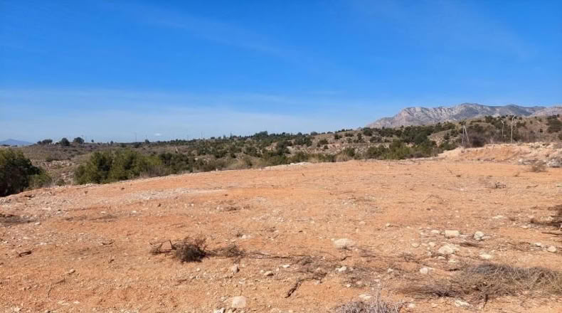 Alicante - Crevillente - 6000m2
