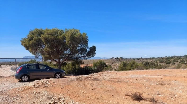 Alicante - Crevillente - 6000m2