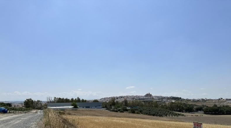 Seville - Las Cabezas de San Juan - 12592m2