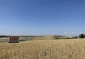 Non-developable land for sale on España, Las Cabezas de San Juan, ref: TR122520 photo