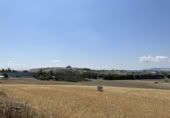 Non-developable land for sale on España, Las Cabezas de San Juan, ref: TR122520 photo