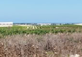 Parcel·la urbanitzable en venda a la España, Sanlúcar de Barrameda, ref.: TR122706 foto