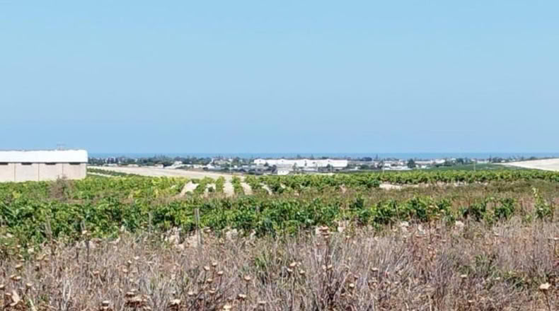 Cádiz - Sanlúcar de Barrameda - 2138m2