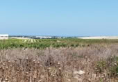Parcel·la urbanitzable en venda a la España, Sanlúcar de Barrameda, ref.: TR122706 foto