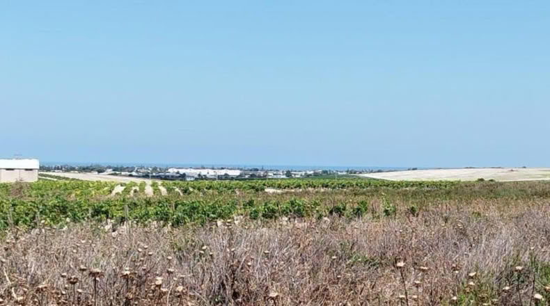 Cádiz - Sanlúcar de Barrameda - 2138m2