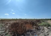 Parcel·la urbanitzable en venda a la España, Sanlúcar de Barrameda, ref.: TR122706 foto