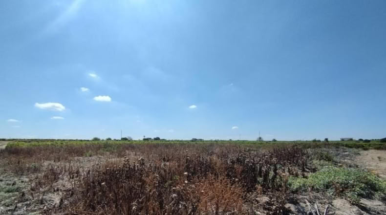 Cádiz - Sanlúcar de Barrameda - 2138m2