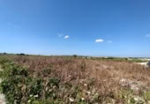 Parcel·la urbanitzable en venda a la España, Sanlúcar de Barrameda, ref.: TR122706 foto