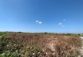 Parcel·la urbanitzable en venda a la España, Sanlúcar de Barrameda, ref.: TR122706 foto