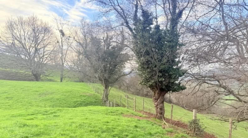 Cantabria - Santa María de Cayón - 9524m2