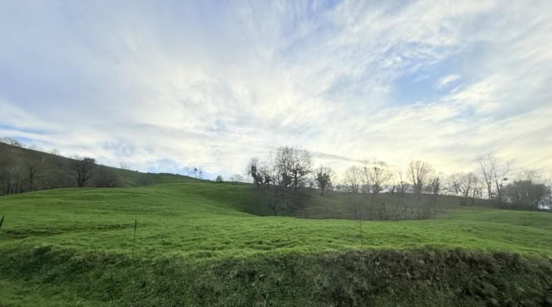 Cantabria - Santa María de Cayón - 9524m2