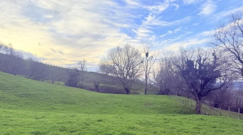 Cantabria - Santa María de Cayón - 9524m2