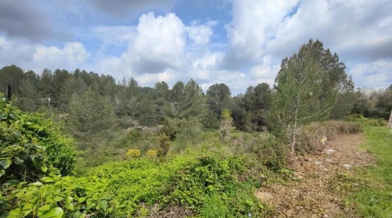 Tarragona - La Bisbal del Penedès - 531m2