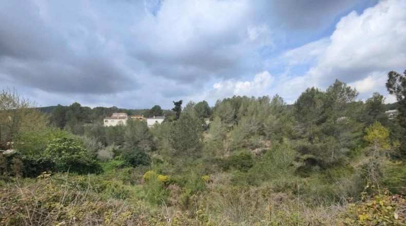 Tarragona - La Bisbal del Penedès - 531m2
