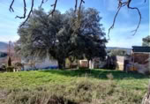 Sòl urbà en venda a la España, Fuentenovilla, ref.: TR239523 foto