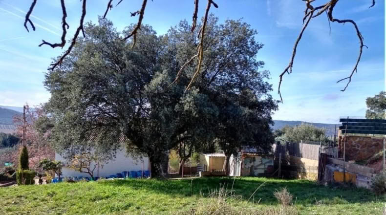 Guadalajara - Fuentenovilla - 880m2
