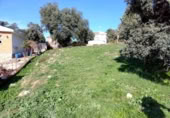 Sòl urbà en venda a la España, Fuentenovilla, ref.: TR239523 foto