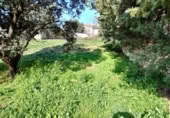 Sòl urbà en venda a la España, Fuentenovilla, ref.: TR239523 foto