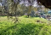 Sòl urbà en venda a la España, Fuentenovilla, ref.: TR239523 foto