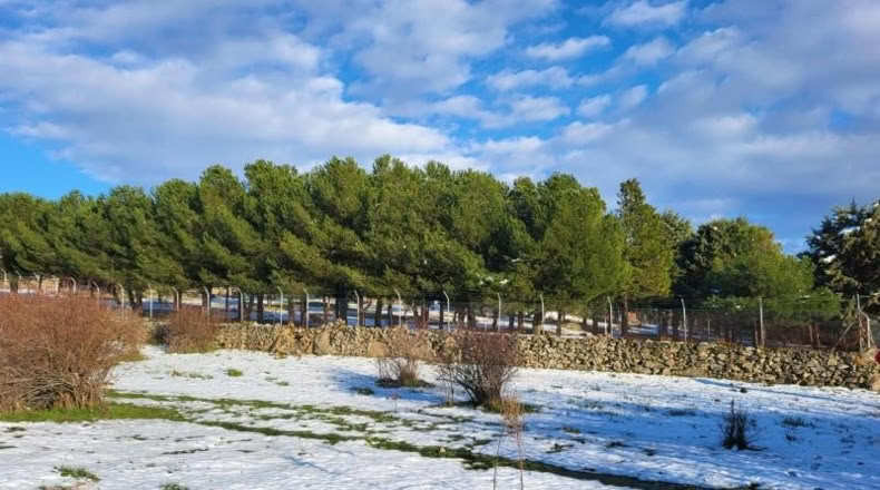 Segovia - Palazuelos de Eresma - 5615m2
