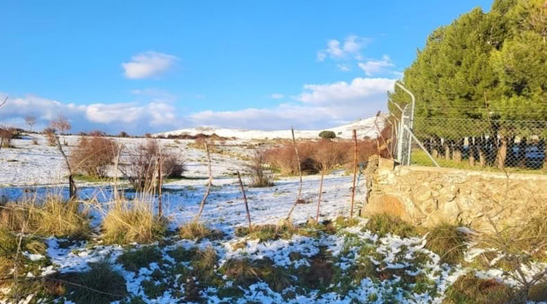 Segovia - Palazuelos de Eresma - 5615m2