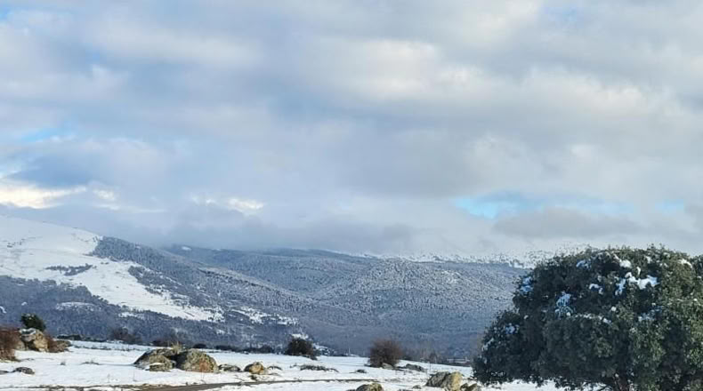 Segovia - Palazuelos de Eresma - 5615m2