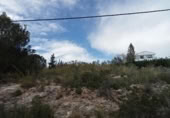 Non-developable land for sale on España, Alginet, ref: TR241755 photo