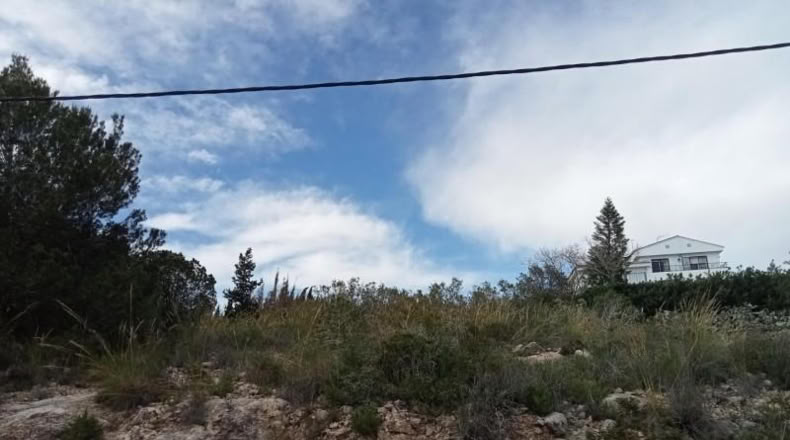 Valencia - Alginet - 753m2