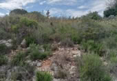 Non-developable land for sale on España, Alginet, ref: TR241755 photo