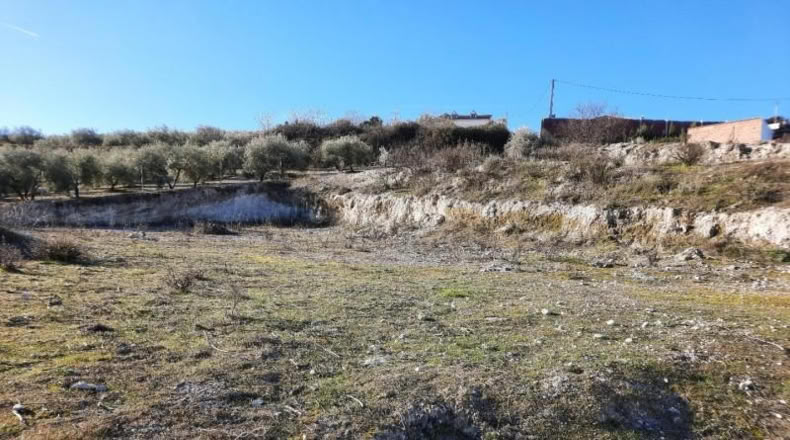 Córdoba - Lucena - 881m2