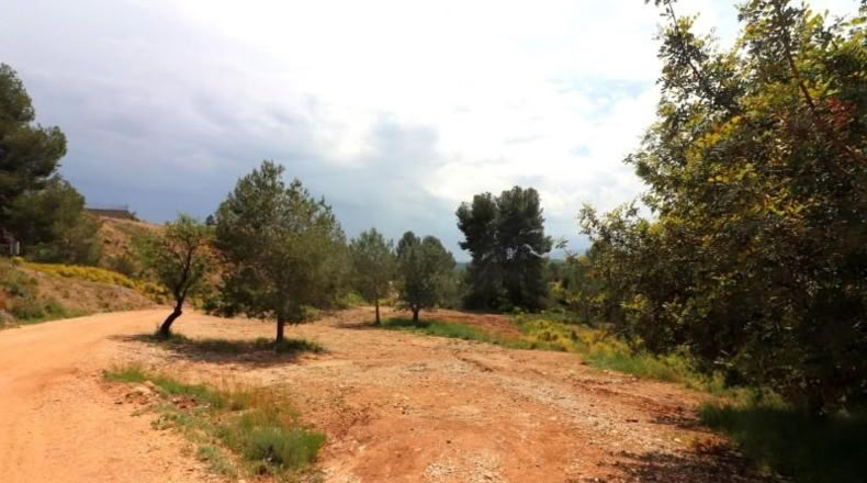 Valencia - Alborache - 16763m2
