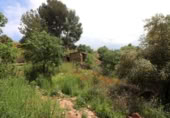 Non-developable land for sale on España, Alborache, ref: TR308601 photo