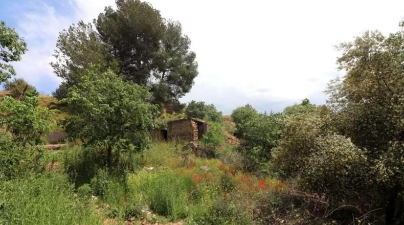 Valencia - Alborache - 16763m2