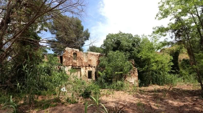 Valencia - Alborache - 16763m2