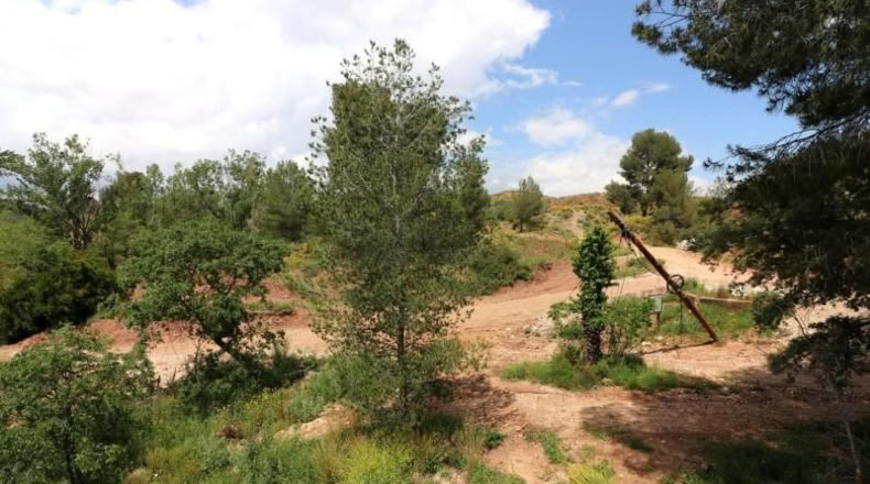 Valencia - Alborache - 16763m2