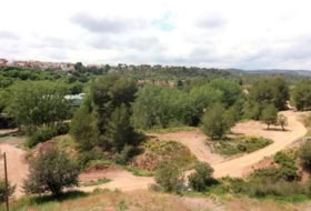 Foto 14