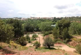 Foto 15