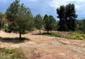 Non-developable land for sale on España, Alborache, ref: TR308601 photo
