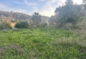 Non-developable land for sale on España, La Nucia, ref: TR228005 photo
