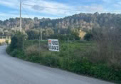 Non-developable land for sale on España, La Nucia, ref: TR228005 photo