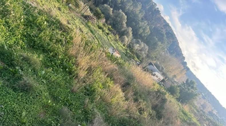 Alicante - la Nucia - 800m2