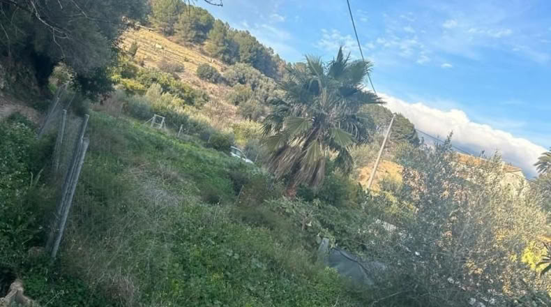 Alicante - la Nucia - 800m2
