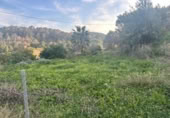 Non-developable land for sale on España, La Nucia, ref: TR228005 photo