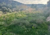 Non-developable land for sale on España, La Nucia, ref: TR228005 photo