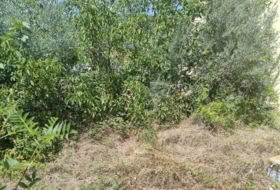 Olot 200&nbsp;m²